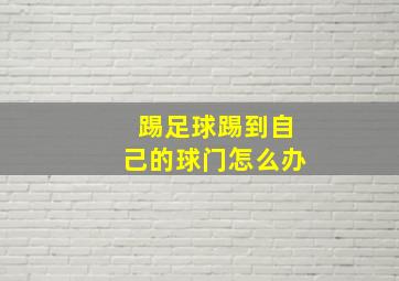 踢足球踢到自己的球门怎么办