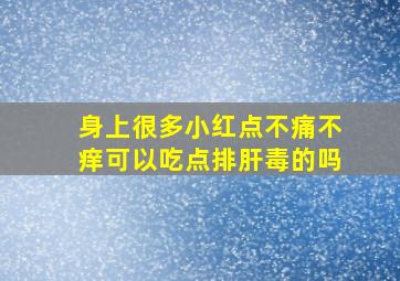 身上很多小红点不痛不痒可以吃点排肝毒的吗