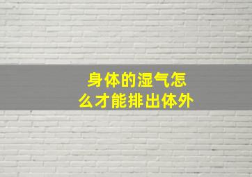 身体的湿气怎么才能排出体外