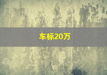 车标20万