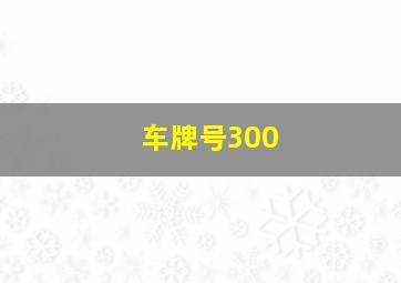 车牌号300