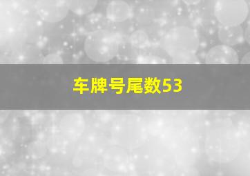 车牌号尾数53