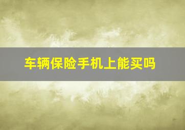 车辆保险手机上能买吗