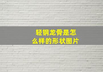 轻钢龙骨是怎么样的形状图片