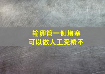 输卵管一侧堵塞可以做人工受精不