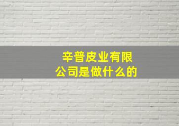 辛普皮业有限公司是做什么的