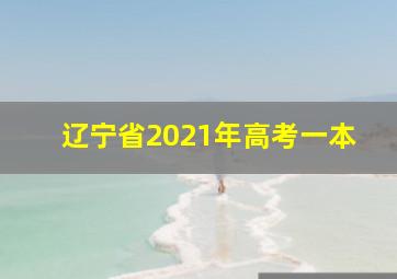 辽宁省2021年高考一本