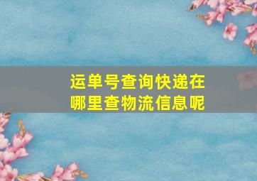 运单号查询快递在哪里查物流信息呢