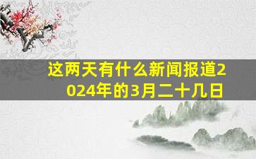 这两天有什么新闻报道2024年的3月二十几日