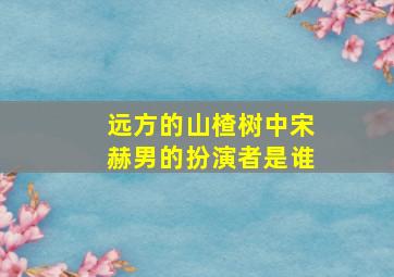 远方的山楂树中宋赫男的扮演者是谁