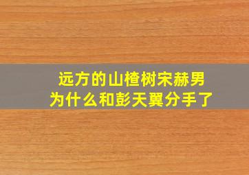 远方的山楂树宋赫男为什么和彭天翼分手了