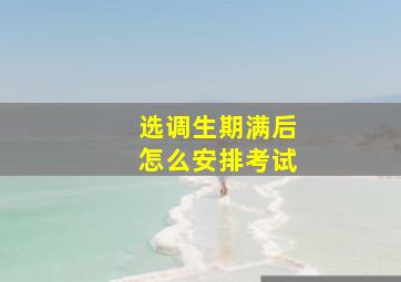 选调生期满后怎么安排考试