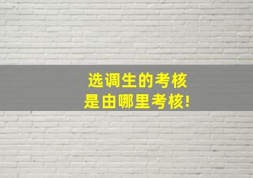 选调生的考核是由哪里考核!