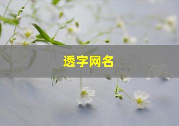 透字网名