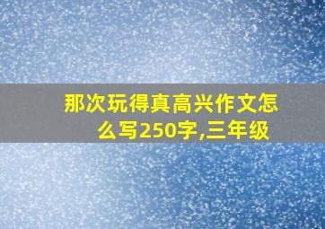 那次玩得真高兴作文怎么写250字,三年级