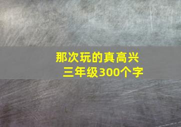 那次玩的真高兴三年级300个字