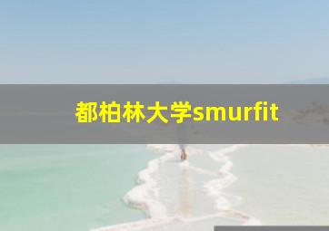 都柏林大学smurfit