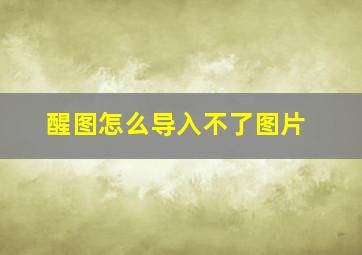 醒图怎么导入不了图片