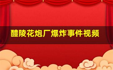 醴陵花炮厂爆炸事件视频