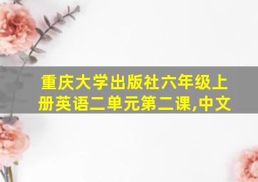 重庆大学出版社六年级上册英语二单元第二课,中文