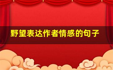 野望表达作者情感的句子