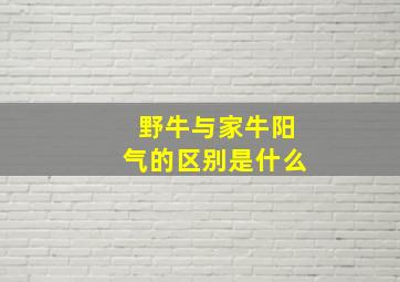 野牛与家牛阳气的区别是什么