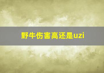 野牛伤害高还是uzi