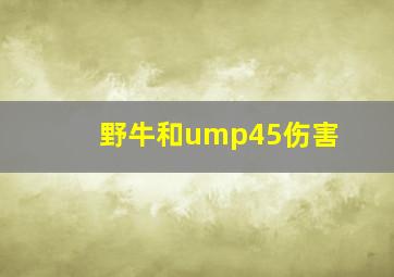 野牛和ump45伤害