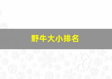 野牛大小排名