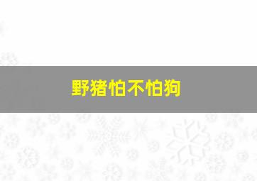 野猪怕不怕狗