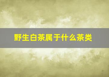 野生白茶属于什么茶类