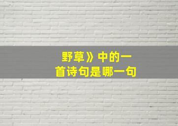 野草》中的一首诗句是哪一句