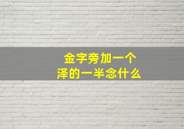 金字旁加一个泽的一半念什么