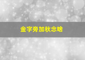 金字旁加秋念啥