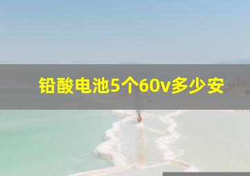 铅酸电池5个60v多少安