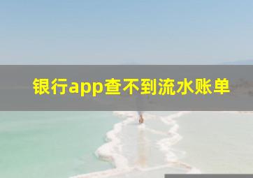 银行app查不到流水账单