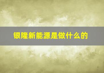 银隆新能源是做什么的