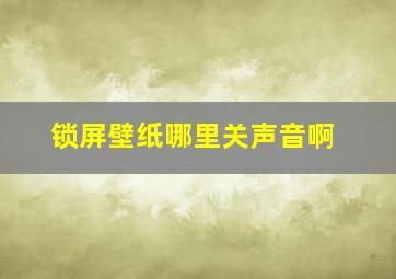 锁屏壁纸哪里关声音啊