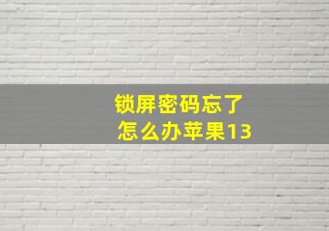 锁屏密码忘了怎么办苹果13