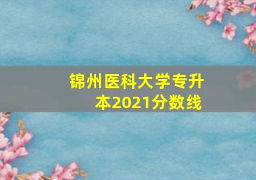 锦州医科大学专升本2021分数线