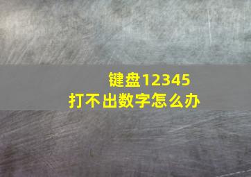 键盘12345打不出数字怎么办