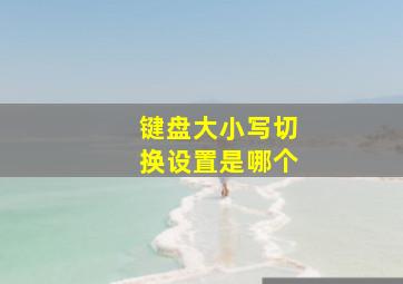 键盘大小写切换设置是哪个