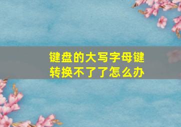 键盘的大写字母键转换不了了怎么办