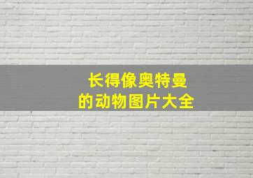 长得像奥特曼的动物图片大全