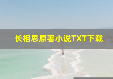 长相思原著小说TXT下载