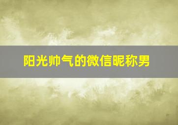 阳光帅气的微信昵称男