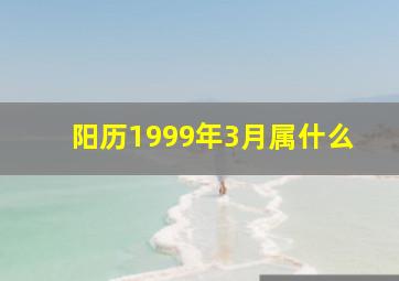 阳历1999年3月属什么