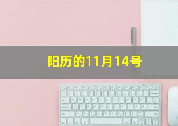 阳历的11月14号