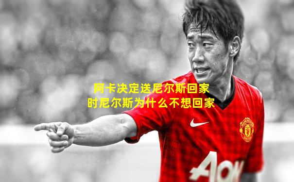 阿卡决定送尼尔斯回家时尼尔斯为什么不想回家