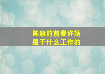 陈赫的前妻许婧是干什么工作的